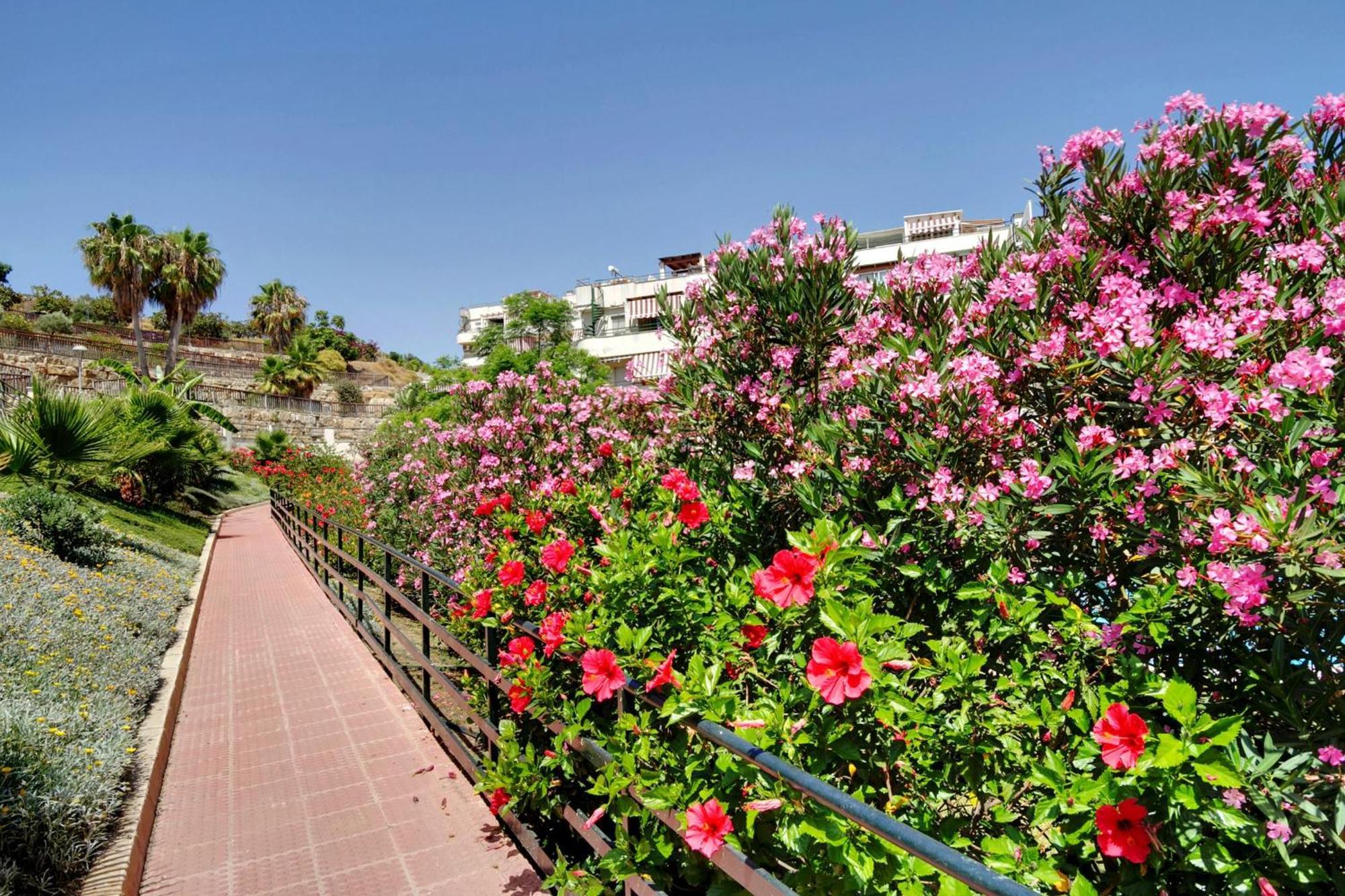 Del Parque Flats - Golf & Beach Terrace Málaga Esterno foto